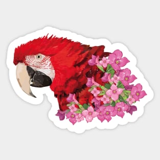 Aliverde Macaw Sticker